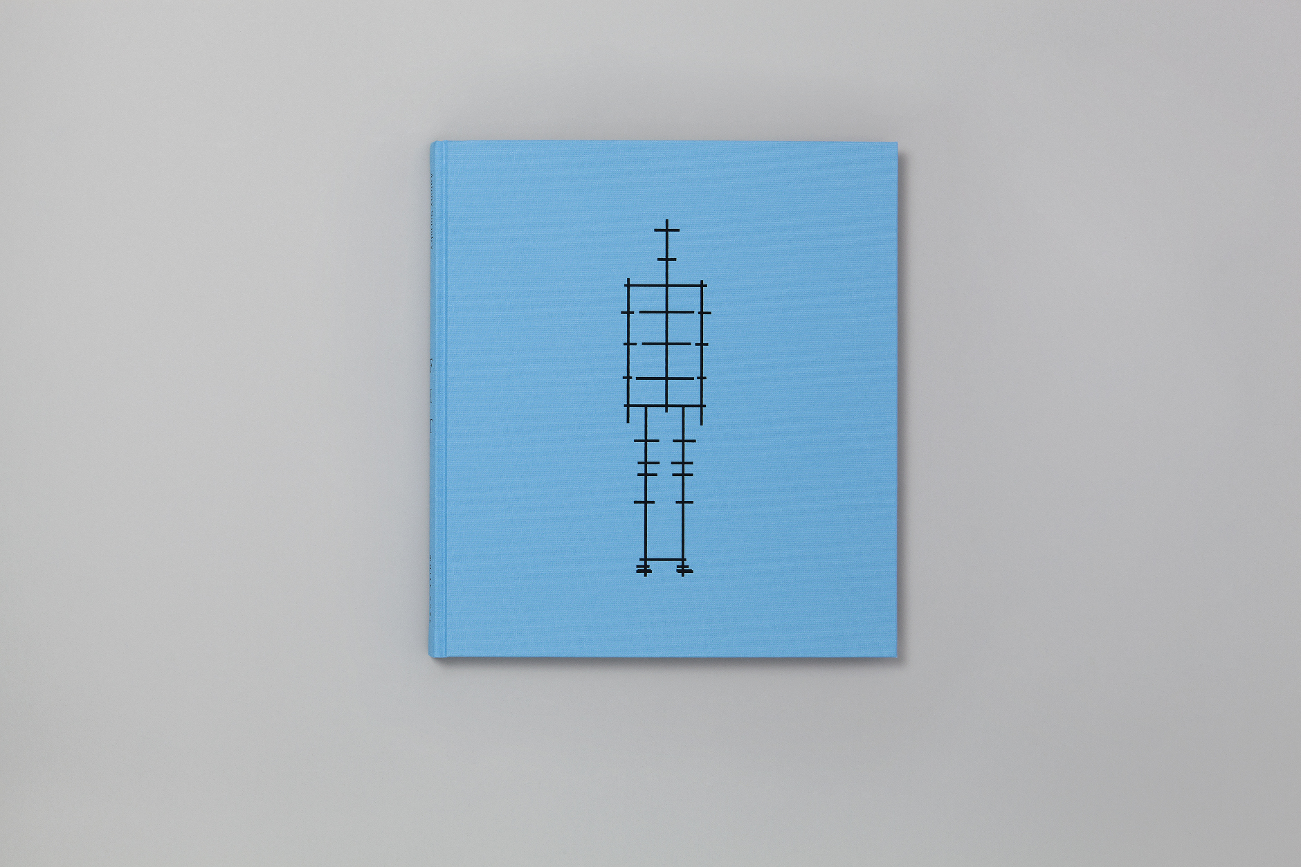 White_Cube_Gormley